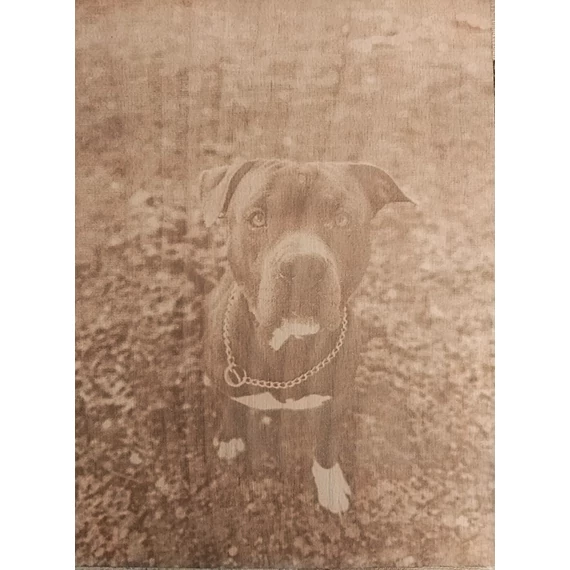 10*20 cm